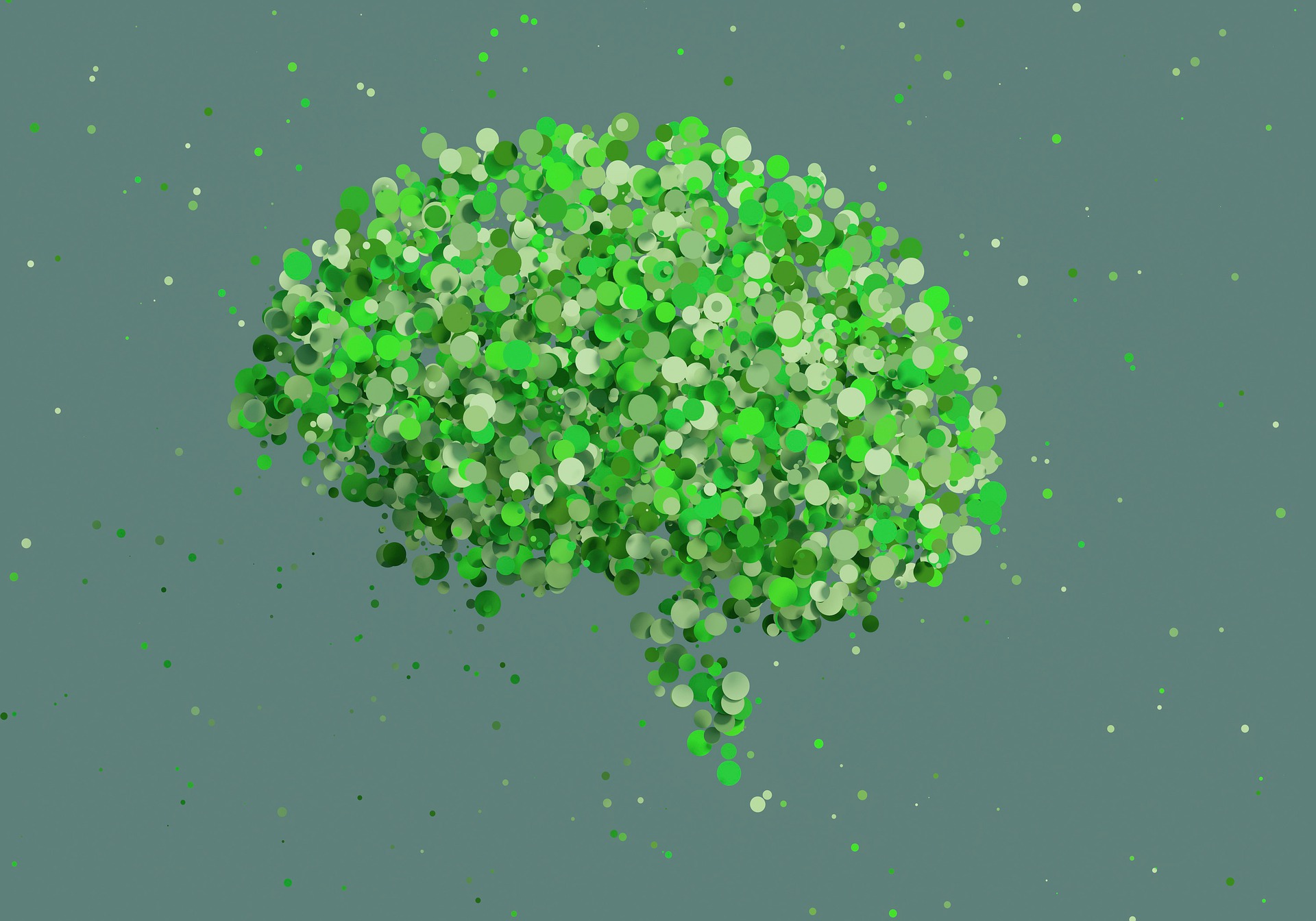 Small green leaves in the shape of a brain